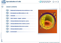 Specialization of cells