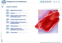 Transport across membranes