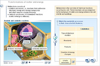 Transformations of matter and energy