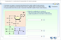 Coenzyme A – a universal transporter of carbon groups