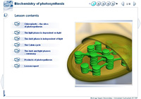 Biochemistry of photosynthesis