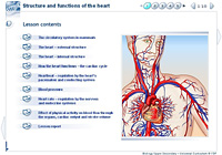 Structure and functions of the heart
