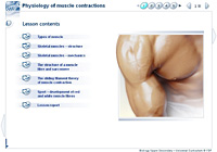 Physiology of muscle contractions