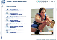 Chemistry of muscle contraction