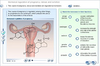 Hormonal regulation of pregnancy; labour and lactation