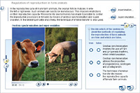 Regulation of reproduction in farm animals