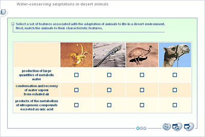 Biology - Upper Secondary - YDP - Student activity - Water-conserving  adaptations in desert animals