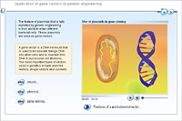 Application of gene vectors in genetic engineering