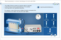 Electrophoresis – a basic technique in work with DNA