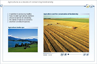 Agriculture as a means of conserving biodiversity
