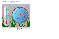 High heat capacity of water