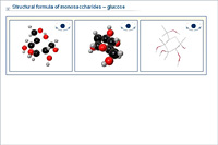Structural formula of monosaccharides – glucose