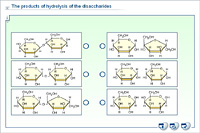 The products of hydrolysis of the disaccharides