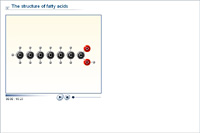 The structure of fatty acids