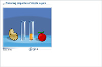 Reducing properties of simple sugars