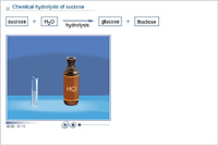 Chemical hydrolysis of sucrose