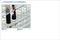 Homogenization and centrifugation