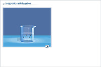 Isopycnic centrifugation