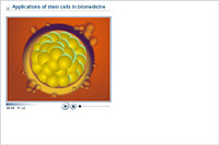 Applications of stem cells in biomedicine