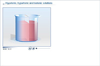 Hypotonic; hypertonic and isotonic solutions