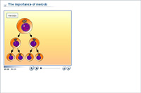 The importance of meiosis