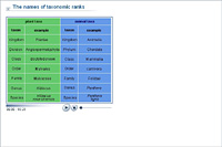 The names of taxonomic ranks
