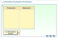 Characteristics of prokaryotes and eukaryotes