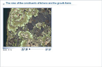 The roles of the constituents of lichens and the growth forms