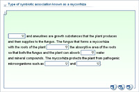 Type of symbiotic association known as a mycorrhiza