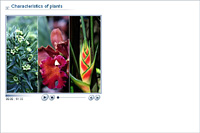 Characteristics of plants