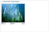 Characteristics of gymnosperms