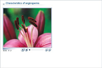 Characteristics of angiosperms