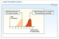 Speed of enzymatic reactions