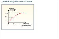 Reaction velocity and substrate concentration