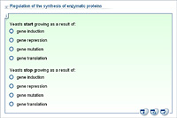 Regulation of the synthesis of enzymatic proteins
