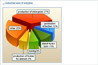 Industrial uses of enzymes