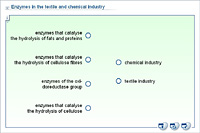 Enzymes in the textile and chemical industry