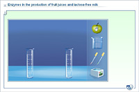Enzymes in the production of fruit juices and lactose-free milk
