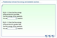 Relationships between free energy and metabolic reactions