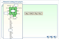 Elements building chlorophyll b