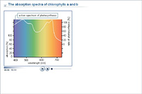 The absorption spectra of chlorophylls a and b