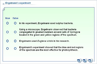 Engelmann's experiment