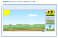 Regulation of carbon dioxide concentration by plants