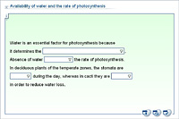 Availability of water and the rate of photosynthesis
