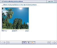 Factors affecting photosynthesis