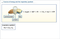 Sources of energy and the respiratory quotient