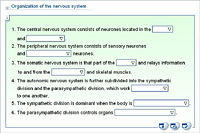 Organization of the nervous system