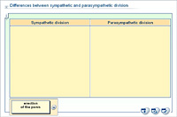 Differences between sympathetic and parasympathetic division