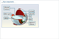 Eye components