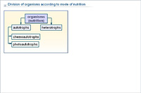 Division of organisms according to mode of nutrition